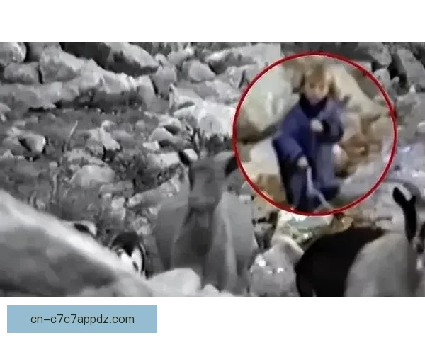 泪别俱乐部传奇的告别时刻瞬间